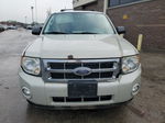 2009 Ford Escape Xlt Бежевый vin: 1FMCU93GX9KB54887