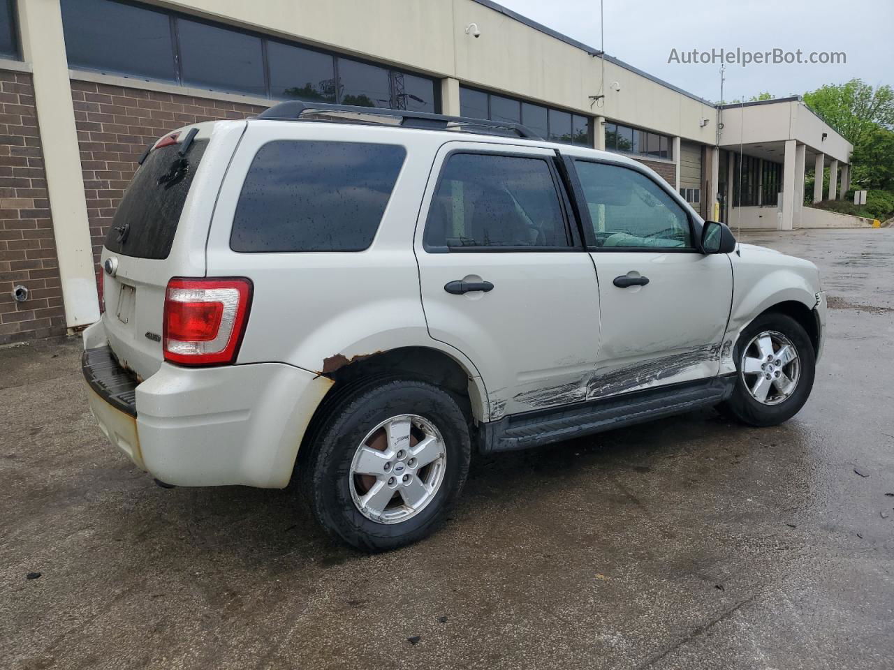 2009 Ford Escape Xlt Beige vin: 1FMCU93GX9KB54887