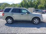 2009 Ford Escape Xlt Серый vin: 1FMCU93GX9KB61628