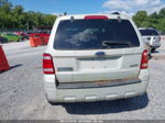 2009 Ford Escape Xlt Gray vin: 1FMCU93GX9KB61628