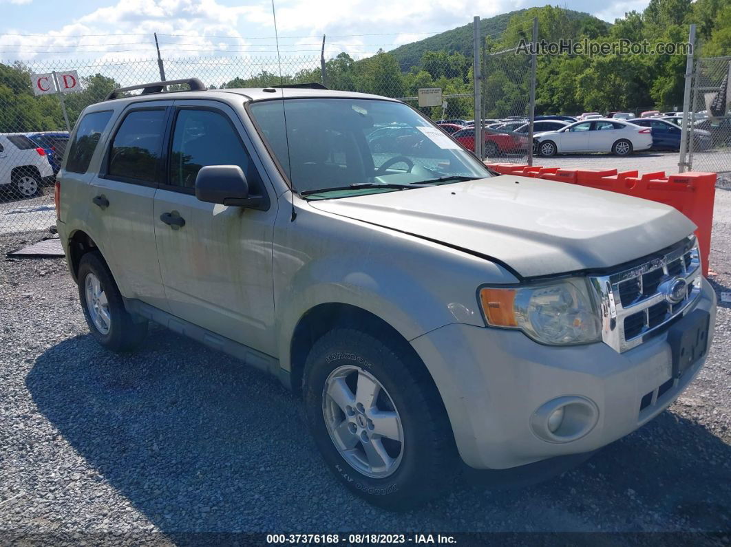 2009 Ford Escape Xlt Gray vin: 1FMCU93GX9KB61628