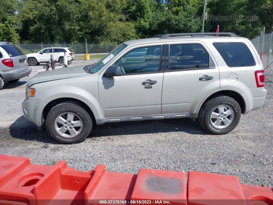 2009 Ford Escape Xlt Gray vin: 1FMCU93GX9KB61628