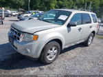 2009 Ford Escape Xlt Gray vin: 1FMCU93GX9KB61628