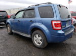 2009 Ford Escape Xlt Синий vin: 1FMCU93GX9KC80683