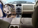 2009 Ford Escape Xlt Синий vin: 1FMCU93GX9KC80683