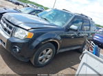 2009 Ford Escape Limited Blue vin: 1FMCU94749KA31553