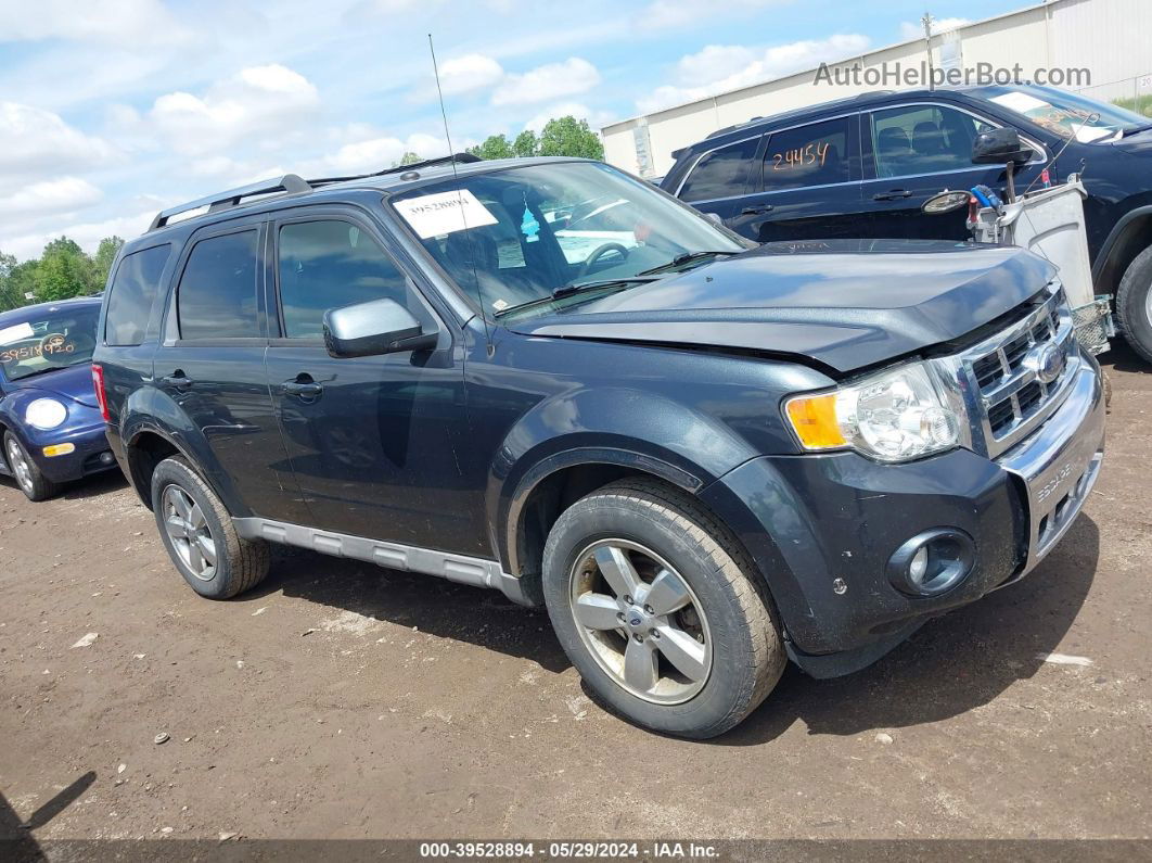 2009 Ford Escape Limited Blue vin: 1FMCU94749KA31553