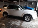 2009 Ford Escape Limited White vin: 1FMCU94759KC68665