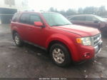 2009 Ford Escape Limited Red vin: 1FMCU94769KB26177