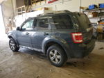 2009 Ford Escape Limited Gray vin: 1FMCU947X9KA45313