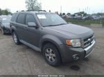 2009 Ford Escape Limited Gray vin: 1FMCU94G09KA50116