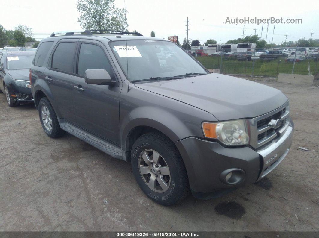 2009 Ford Escape Limited Gray vin: 1FMCU94G09KA50116