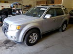 2009 Ford Escape Limited Silver vin: 1FMCU94G09KB93342