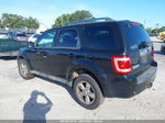 2009 Ford Escape Limited Black vin: 1FMCU94G09KC66855