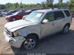 2009 Ford Escape Limited vin: 1FMCU94G29KB01339