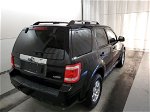 2009 Ford Escape Limited vin: 1FMCU94G29KB62755