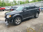 2009 Ford Escape Limited Черный vin: 1FMCU94G29KC59275