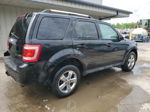 2009 Ford Escape Limited Черный vin: 1FMCU94G29KC59275