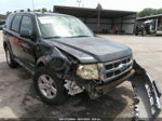 2009 Ford Escape Limited Gray vin: 1FMCU94G39KC56398