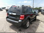 2009 Ford Escape Limited Серый vin: 1FMCU94G39KC56398