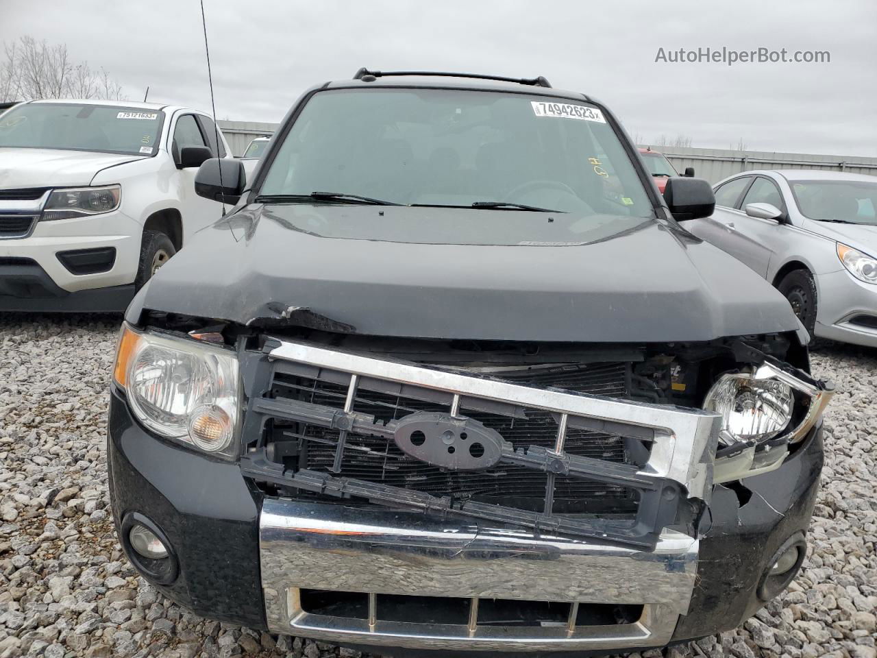 2009 Ford Escape Limited Black vin: 1FMCU94G39KC98053