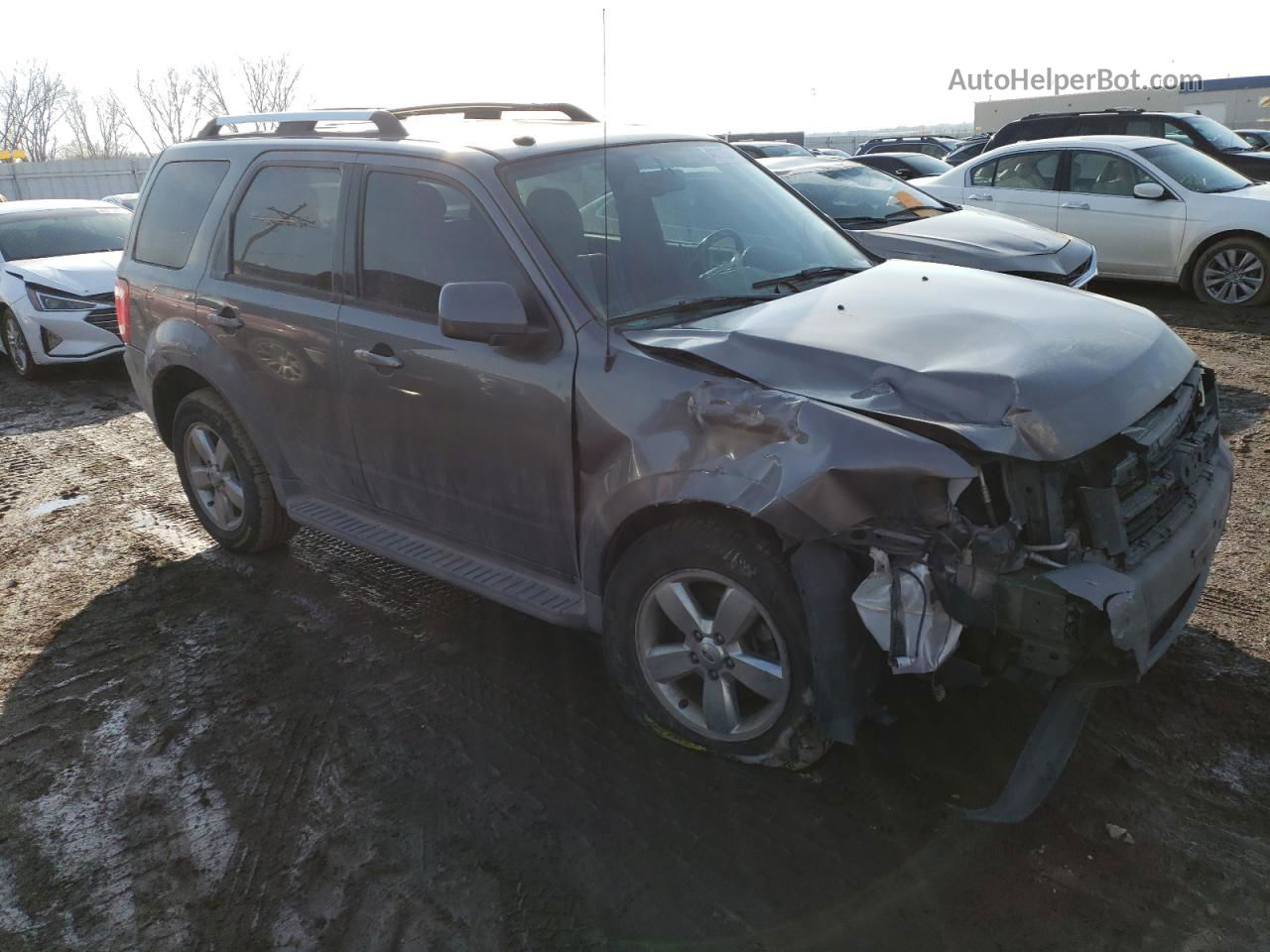 2009 Ford Escape Limited Серый vin: 1FMCU94G49KA16051