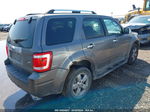 2009 Ford Escape Limited Silver vin: 1FMCU94G49KB09636