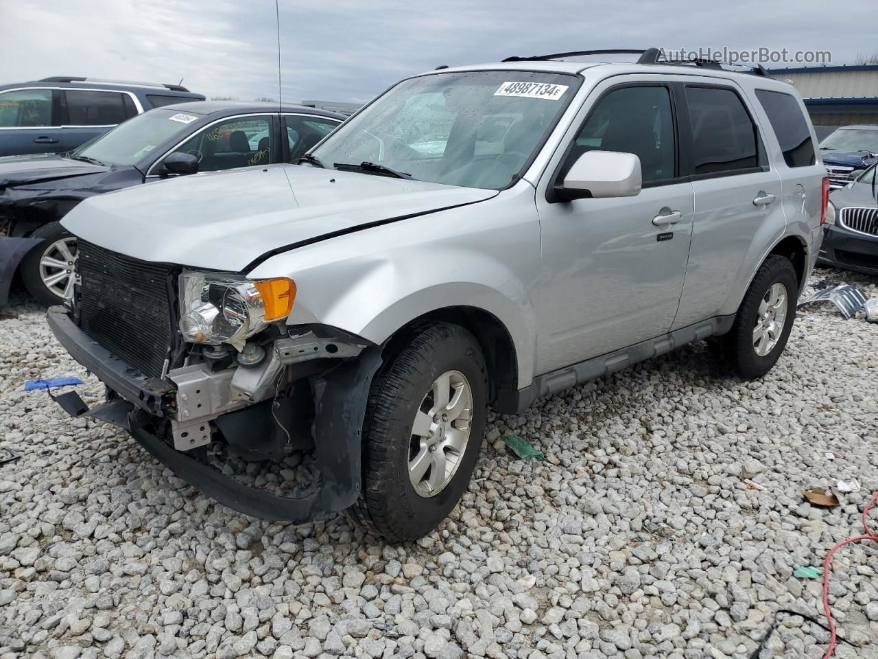 2009 Ford Escape Limited Silver vin: 1FMCU94G49KB14450