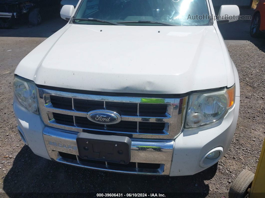 2009 Ford Escape Limited White vin: 1FMCU94G49KC45961