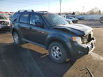 2009 Ford Escape Limited Green vin: 1FMCU94G59KB09581