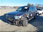 2009 Ford Escape Limited Gray vin: 1FMCU94G59KC66124