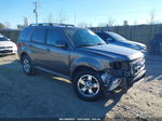 2009 Ford Escape Limited Серый vin: 1FMCU94G59KC66124