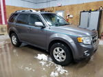 2009 Ford Escape Limited Gray vin: 1FMCU94G59KD13880