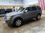 2009 Ford Escape Limited Gray vin: 1FMCU94G59KD13880