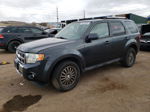 2009 Ford Escape Limited Gray vin: 1FMCU94G69KA16116