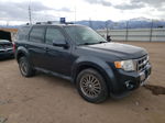 2009 Ford Escape Limited Gray vin: 1FMCU94G69KA16116