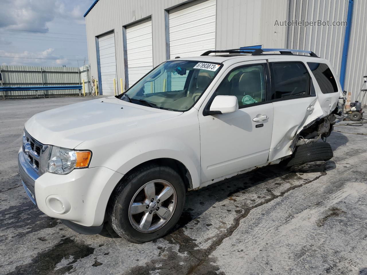 2009 Ford Escape Limited White vin: 1FMCU94G69KA58270