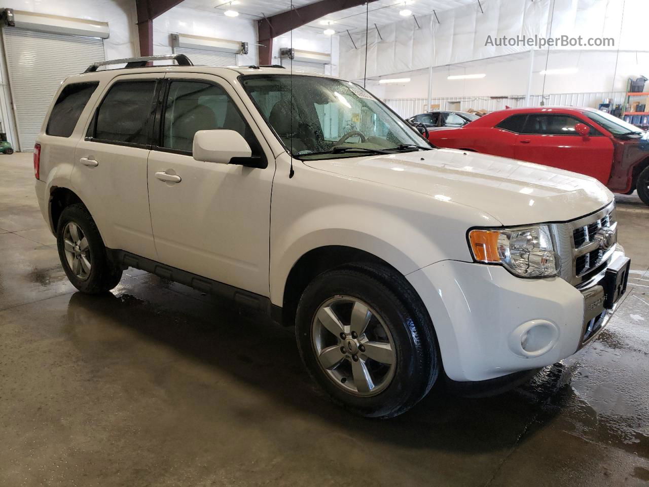 2009 Ford Escape Limited White vin: 1FMCU94G69KC05350