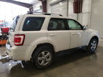 2009 Ford Escape Limited Белый vin: 1FMCU94G69KC05350