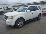 2009 Ford Escape Limited White vin: 1FMCU94G69KD07649