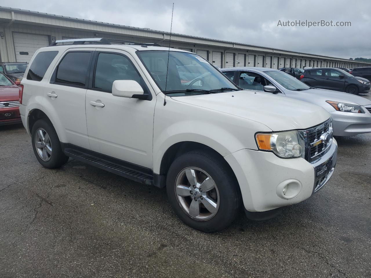 2009 Ford Escape Limited White vin: 1FMCU94G69KD07649