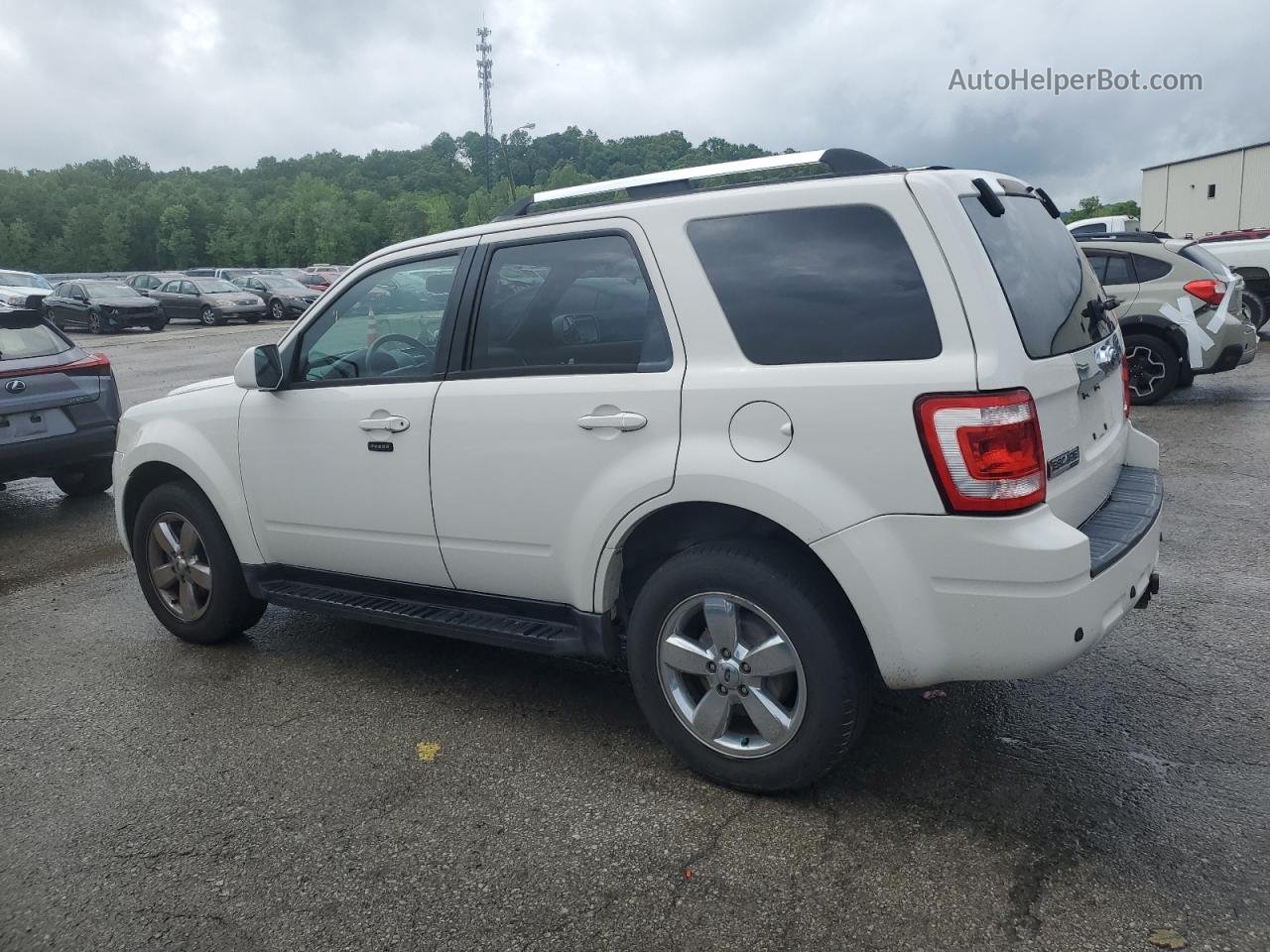 2009 Ford Escape Limited White vin: 1FMCU94G69KD07649