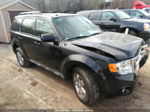 2009 Ford Escape Limited Черный vin: 1FMCU94G79KB30352