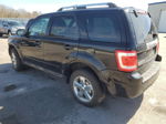 2009 Ford Escape Limited Black vin: 1FMCU94G89KC11425