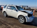 2009 Ford Escape Limited White vin: 1FMCU94G99KB02391