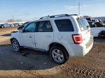 2009 Ford Escape Limited White vin: 1FMCU94G99KB02391