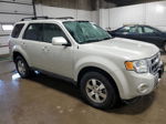 2009 Ford Escape Limited Silver vin: 1FMCU94G99KB13262