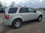 2009 Ford Escape Limited Silver vin: 1FMCU94G99KC50377