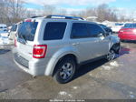 2009 Ford Escape Limited Silver vin: 1FMCU94GX9KB47307