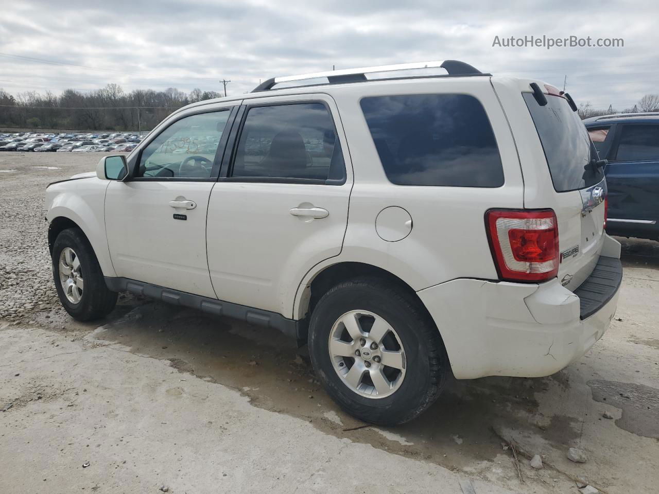 2009 Ford Escape Limited White vin: 1FMCU94GX9KC56589